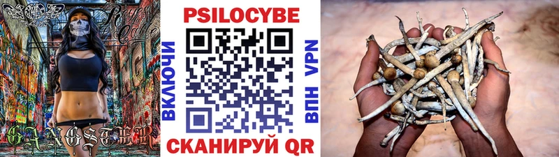 магазин продажи   Волгореченск  Псилоцибиновые грибы ЛСД 